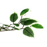 https://www.makstor.pl/data/gfx/pictures/large/2/8/982_4.jpg