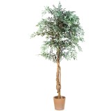 https://www.makstor.pl/data/gfx/pictures/large/5/7/975_2.jpg