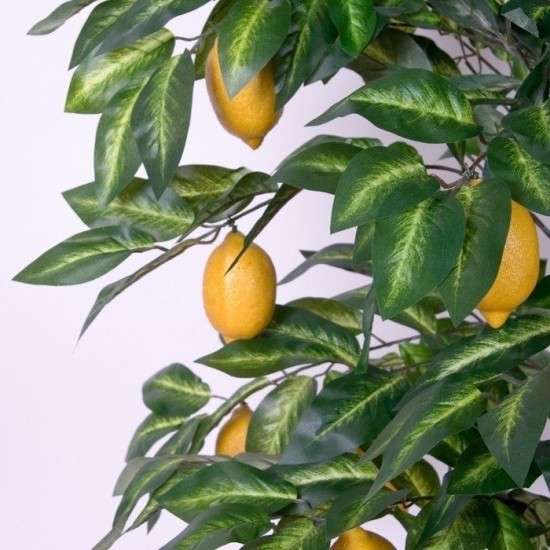 https://www.makstor.pl/data/gfx/pictures/large/5/8/285_3.jpg