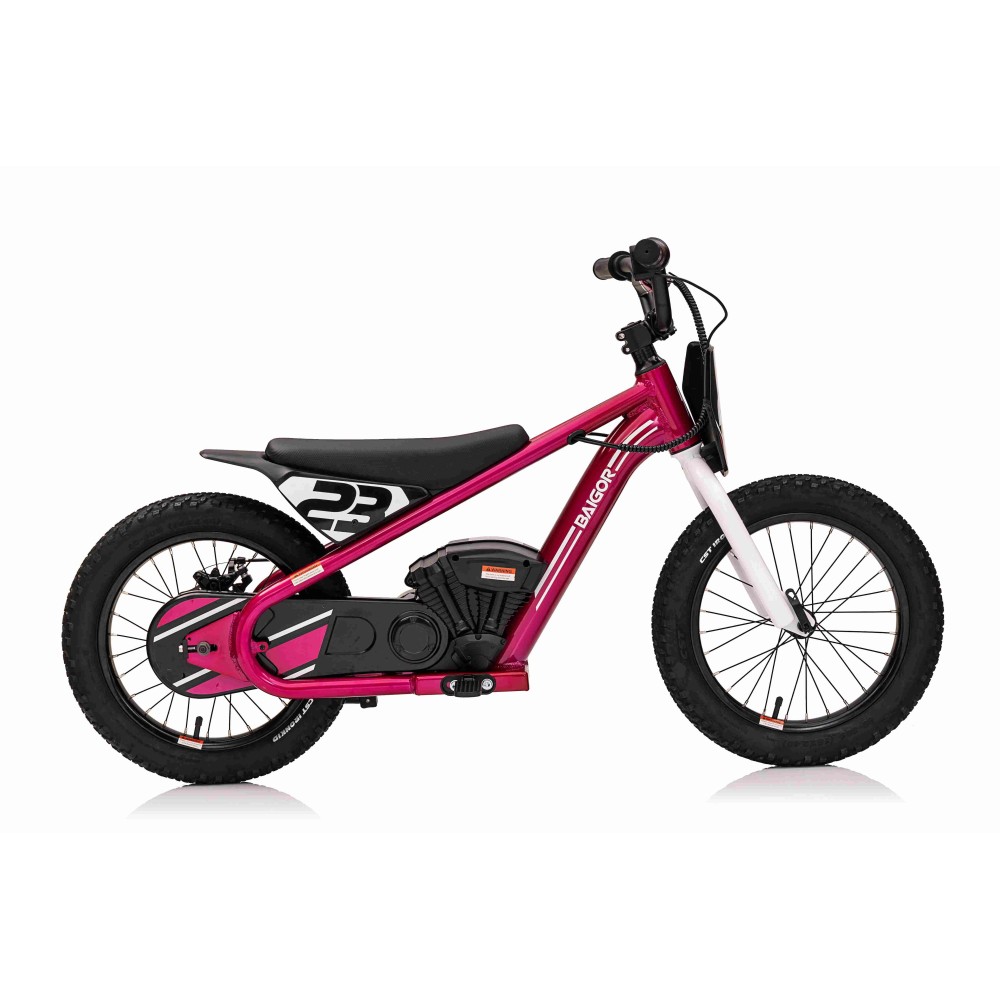 JOKO Elektrická Motorka BAIGOR 23 PRO 250W 24V, nosnosť 60kg, nafukovacie kolesá, rýchlosť 25km/h, kožené sedadlo, ružová