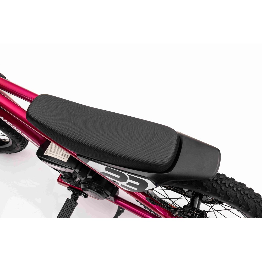 JOKO Elektrická Motorka BAIGOR 23 PRO 250W 24V, nosnosť 60kg, nafukovacie kolesá, rýchlosť 25km/h, kožené sedadlo, ružová