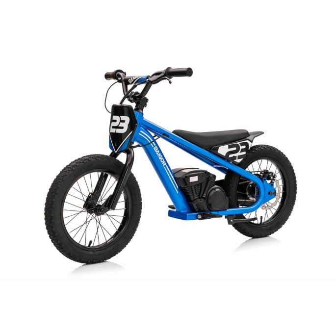 JOKO Elektrická Motorka BAIGOR 23 PRO 250W 24V, nosnosť 60kg, nafukovacie kolesá, rýchlosť 25km/h, kožené sedadlo, modrá