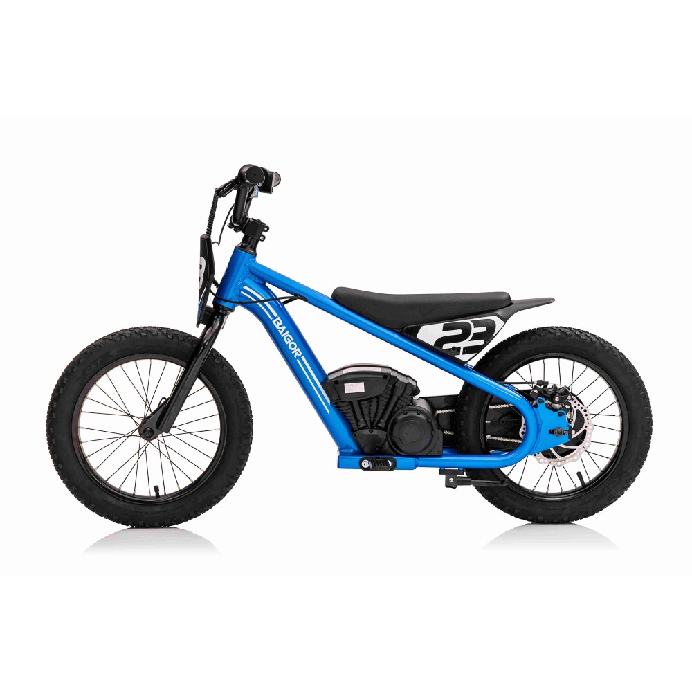 JOKO Elektrická Motorka BAIGOR 23 PRO 250W 24V, nosnosť 60kg, nafukovacie kolesá, rýchlosť 25km/h, kožené sedadlo, modrá