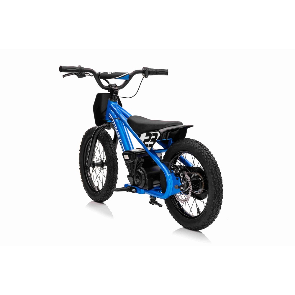 JOKO Elektrická Motorka BAIGOR 23 PRO 250W 24V, nosnosť 60kg, nafukovacie kolesá, rýchlosť 25km/h, kožené sedadlo, modrá