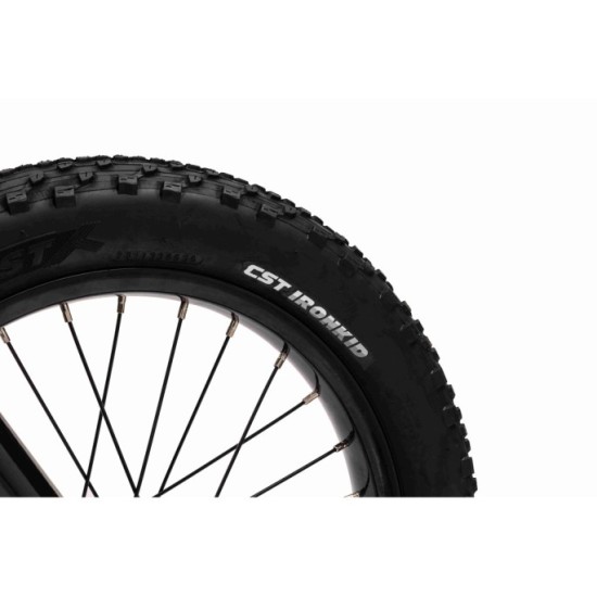 JOKO Elektrická Motorka BAIGOR 23 PRO 250W 24V, nosnosť 60kg, nafukovacie kolesá, rýchlosť 25km/h, kožené sedadlo, modrá
