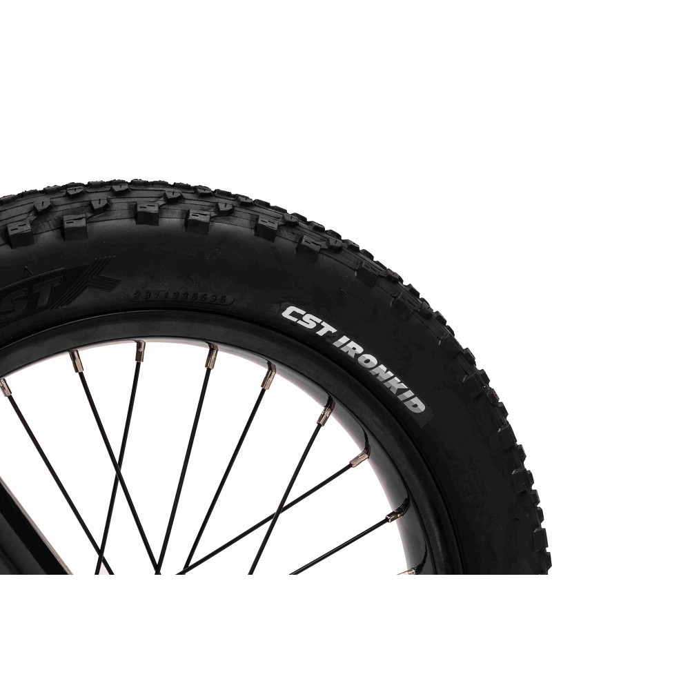 JOKO Elektrická Motorka BAIGOR 23 PRO 250W 24V, nosnosť 60kg, nafukovacie kolesá, rýchlosť 25km/h, kožené sedadlo, modrá