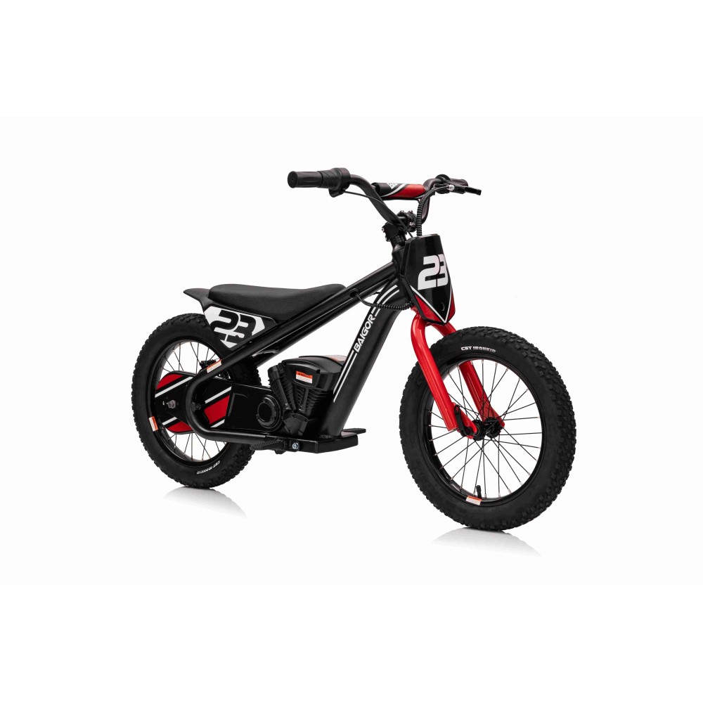 JOKO Elektrická Motorka BAIGOR 23 PRO 250W 24V, nosnosť 60kg, nafukovacie kolesá, rýchlosť 25km/h, kožené sedadlo, čierna