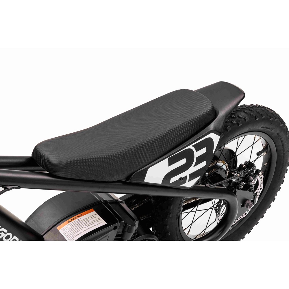 JOKO Elektrická Motorka BAIGOR 23 PRO 250W 24V, nosnosť 60kg, nafukovacie kolesá, rýchlosť 25km/h, kožené sedadlo, čierna