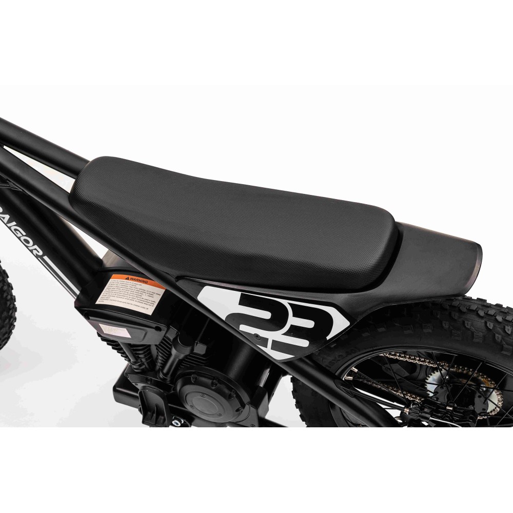 JOKO Elektrická Motorka BAIGOR 23 PRO 250W 24V, nosnosť 60kg, nafukovacie kolesá, rýchlosť 25km/h, kožené sedadlo, čierna