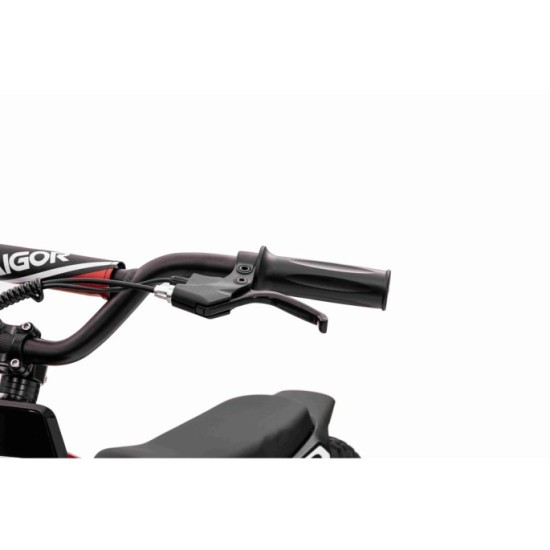 JOKO Elektrická Motorka BAIGOR 23 PRO 250W 24V, nosnosť 60kg, nafukovacie kolesá, rýchlosť 25km/h, kožené sedadlo, červená