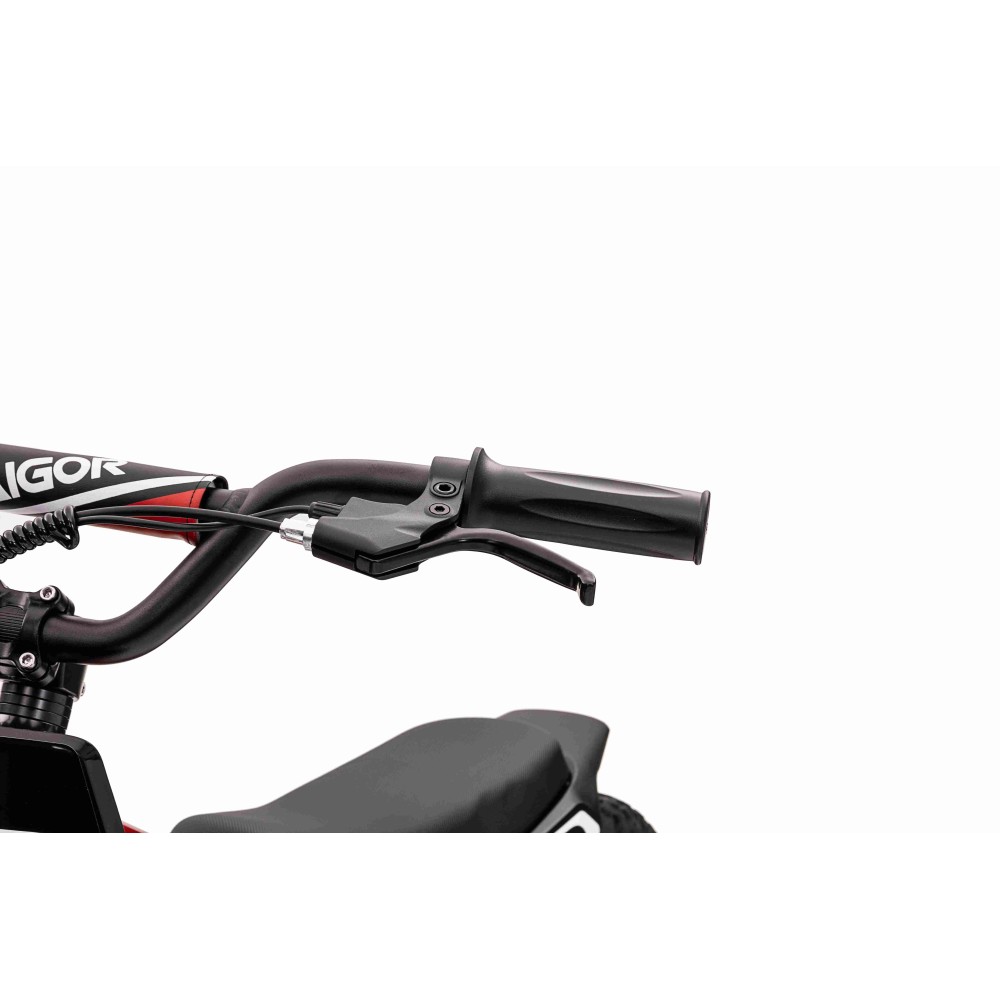 JOKO Elektrická Motorka BAIGOR 23 PRO 250W 24V, nosnosť 60kg, nafukovacie kolesá, rýchlosť 25km/h, kožené sedadlo, červená