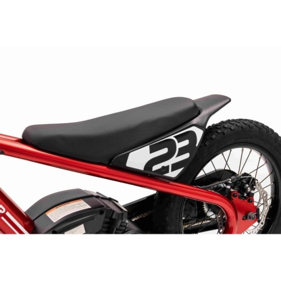JOKO Elektrická Motorka BAIGOR 23 PRO 250W 24V, nosnosť 60kg, nafukovacie kolesá, rýchlosť 25km/h, kožené sedadlo, červená