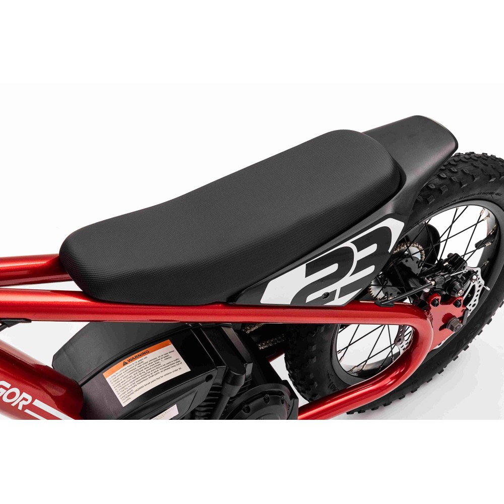 JOKO Elektrická Motorka BAIGOR 23 PRO 250W 24V, nosnosť 60kg, nafukovacie kolesá, rýchlosť 25km/h, kožené sedadlo, červená