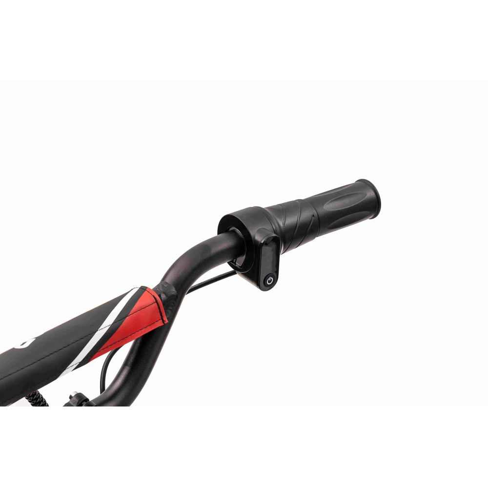JOKO Elektrická Motorka BAIGOR 23 PRO 250W 24V, nosnosť 60kg, nafukovacie kolesá, rýchlosť 25km/h, kožené sedadlo, červená