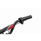 JOKO Elektrická Motorka BAIGOR 23 PRO 250W 24V, nosnosť 60kg, nafukovacie kolesá, rýchlosť 25km/h, kožené sedadlo, červená