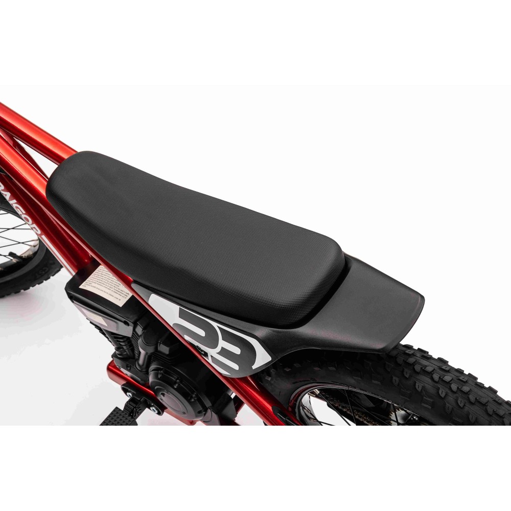 JOKO Elektrická Motorka BAIGOR 23 PRO 250W 24V, nosnosť 60kg, nafukovacie kolesá, rýchlosť 25km/h, kožené sedadlo, červená