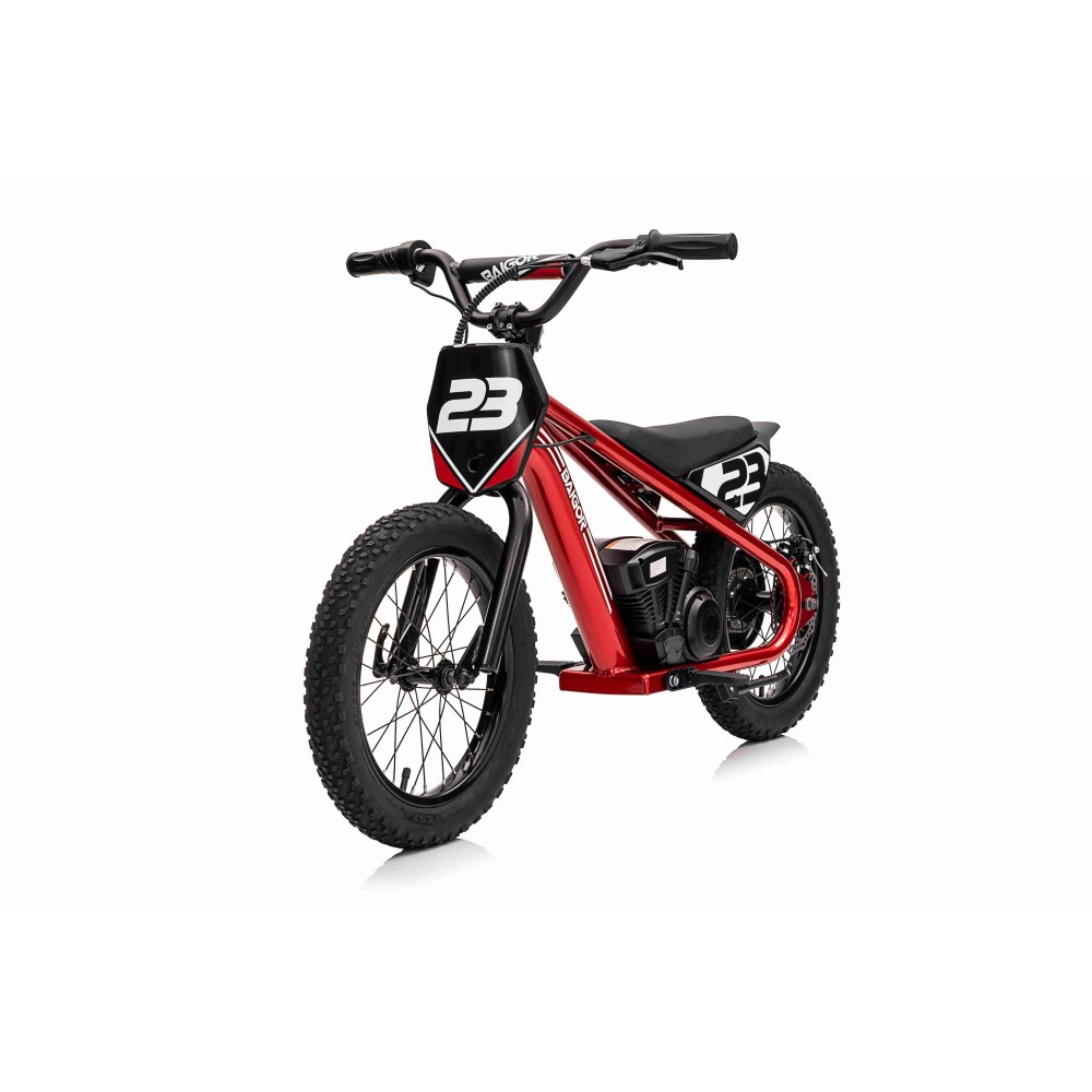 JOKO Elektrická Motorka BAIGOR 23 PRO 250W 24V, nosnosť 60kg, nafukovacie kolesá, rýchlosť 25km/h, kožené sedadlo, červená