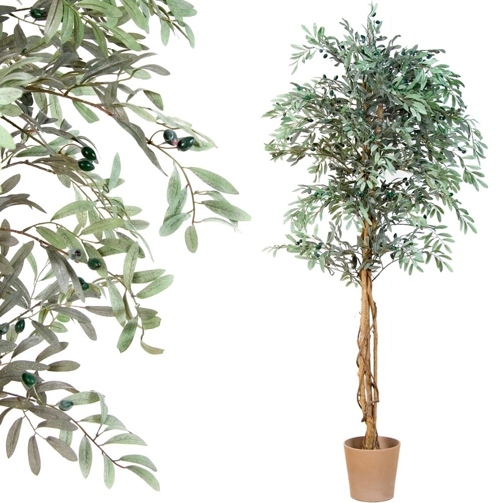 Plantasia Umelý strom oliva 180 cm