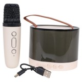 JOKO Karaoke Reproduktor s Mikrofónom a LED Svetlom + Kožená Rukoväť