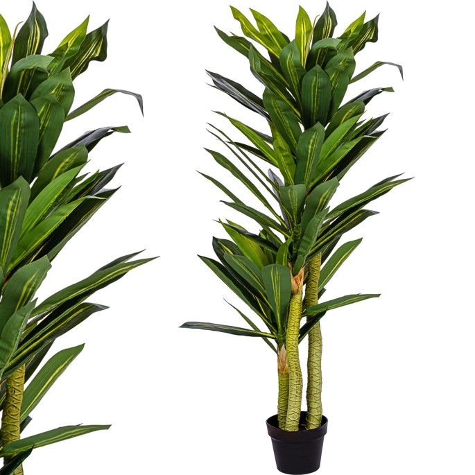 Plantasia Umelý strom Dracena 120 cm Dračí Strom