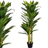 Plantasia Umelý strom Dracena 120 cm Dračí Strom