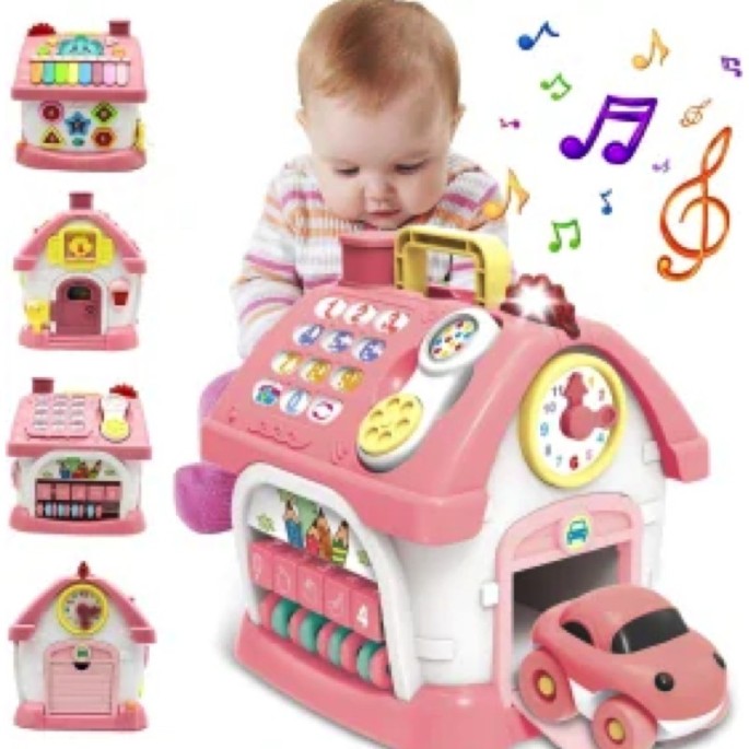 Multifunctional Pink House