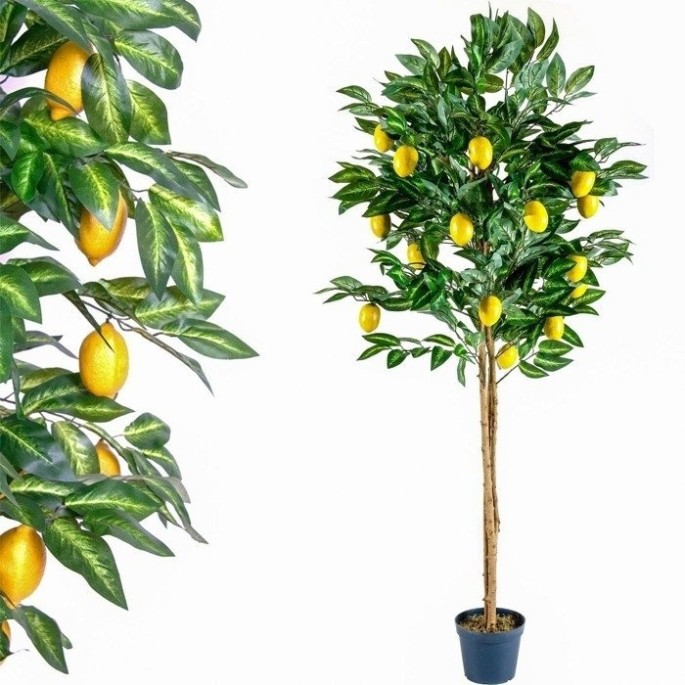 Plantasia Umelý strom Citrus Citrón 185 cm