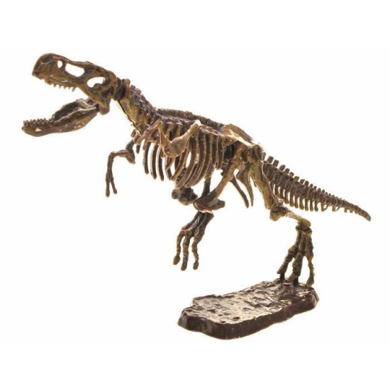 JOKO 3D Sada Vykopávky na vykopávanie kostry Dinosaura Tyrannosaura T-REX, skelet s kladivkom, malý paleontológ