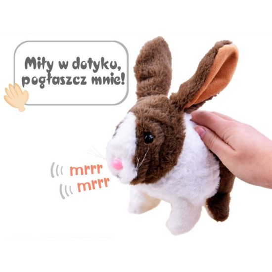 JOKO Interaktívny Zajac zvieratko, skáče, hýbe nosom, hýbe uškami, vydáva zvuky, na batérie, hnedý