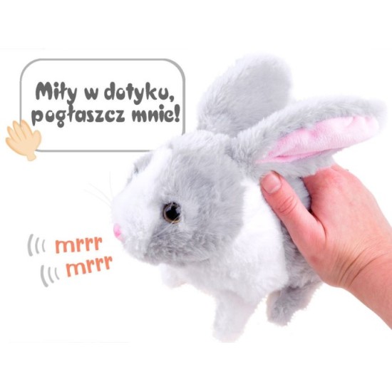 JOKO Interaktívny Zajac zvieratko, skáče, hýbe nosom, hýbe uškami, vydáva zvuky, na batérie, sivý