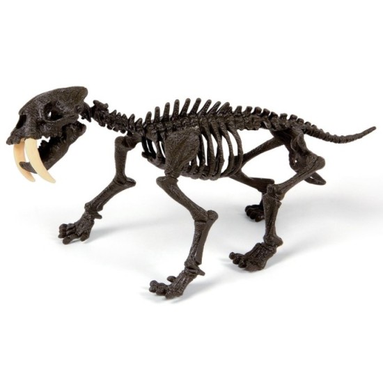 Clementoni Smilodon Zostav kostru tigra