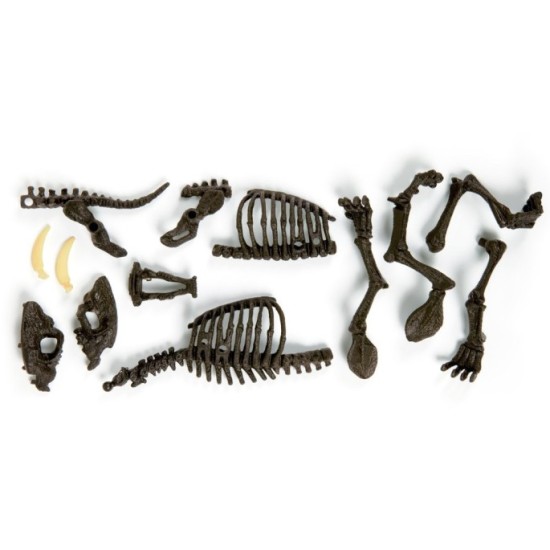 Clementoni Smilodon Zostav kostru tigra
