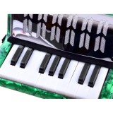 JOKO Veľký detský akordeón, harmonika pre deti 23cm x 23cm, zelený