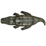Bestway 41478 Detský Nafukovací Matrac Krokodíl 193x94cm