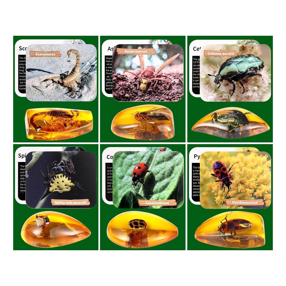 JOKO Archeologická Sada Vykopávky Fosílie Hmyzu v Jantárovom Kameni