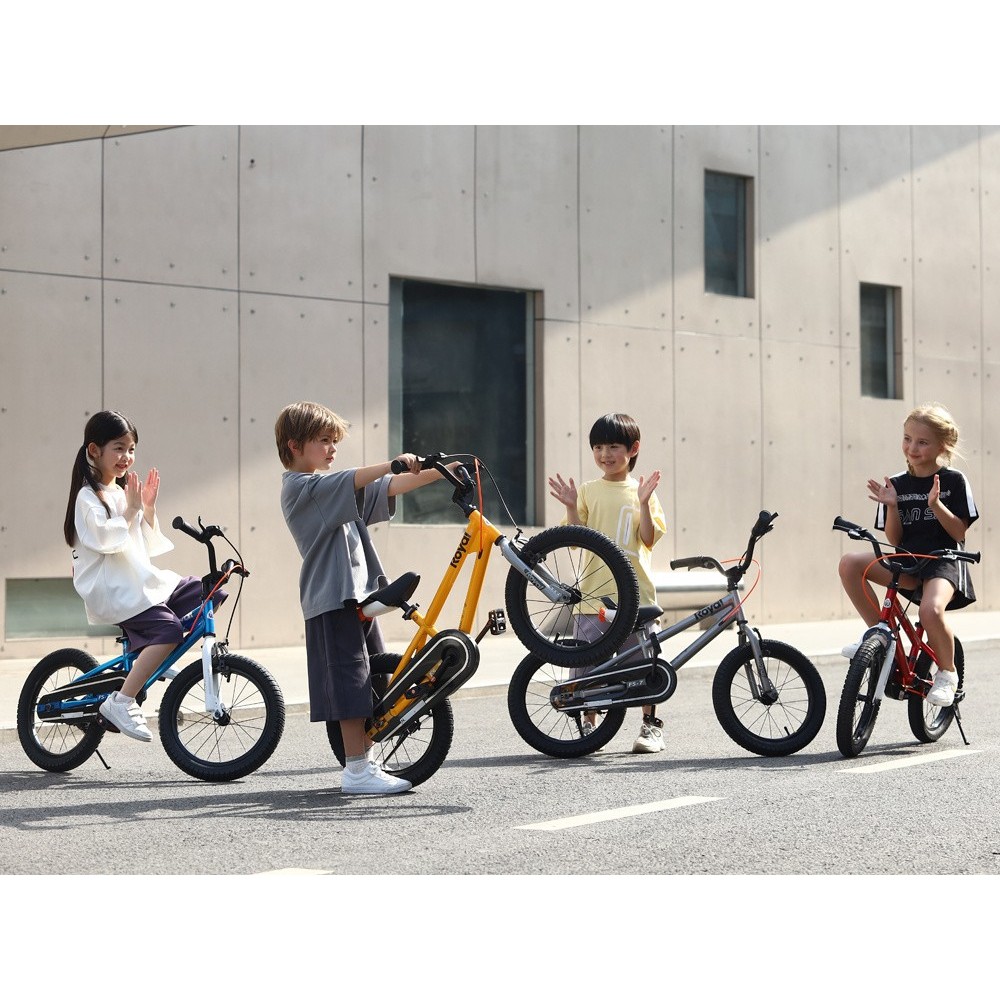 Royal Baby Detský bicykel Royal Baby 16 "B-6 FREESTYLE 7.0, červený