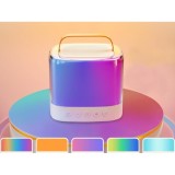JOKO Sada Karaoke Bezdrôtové Mikrofóny s Bluetooth MINI Reproduktorom, zlaté