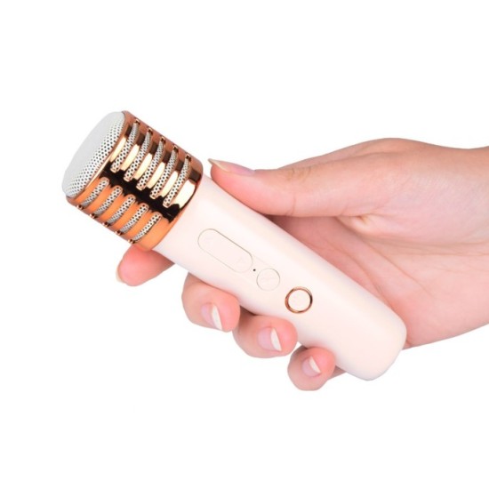 JOKO Sada Karaoke Bezdrôtové Mikrofóny s Bluetooth MINI Reproduktorom, zlaté