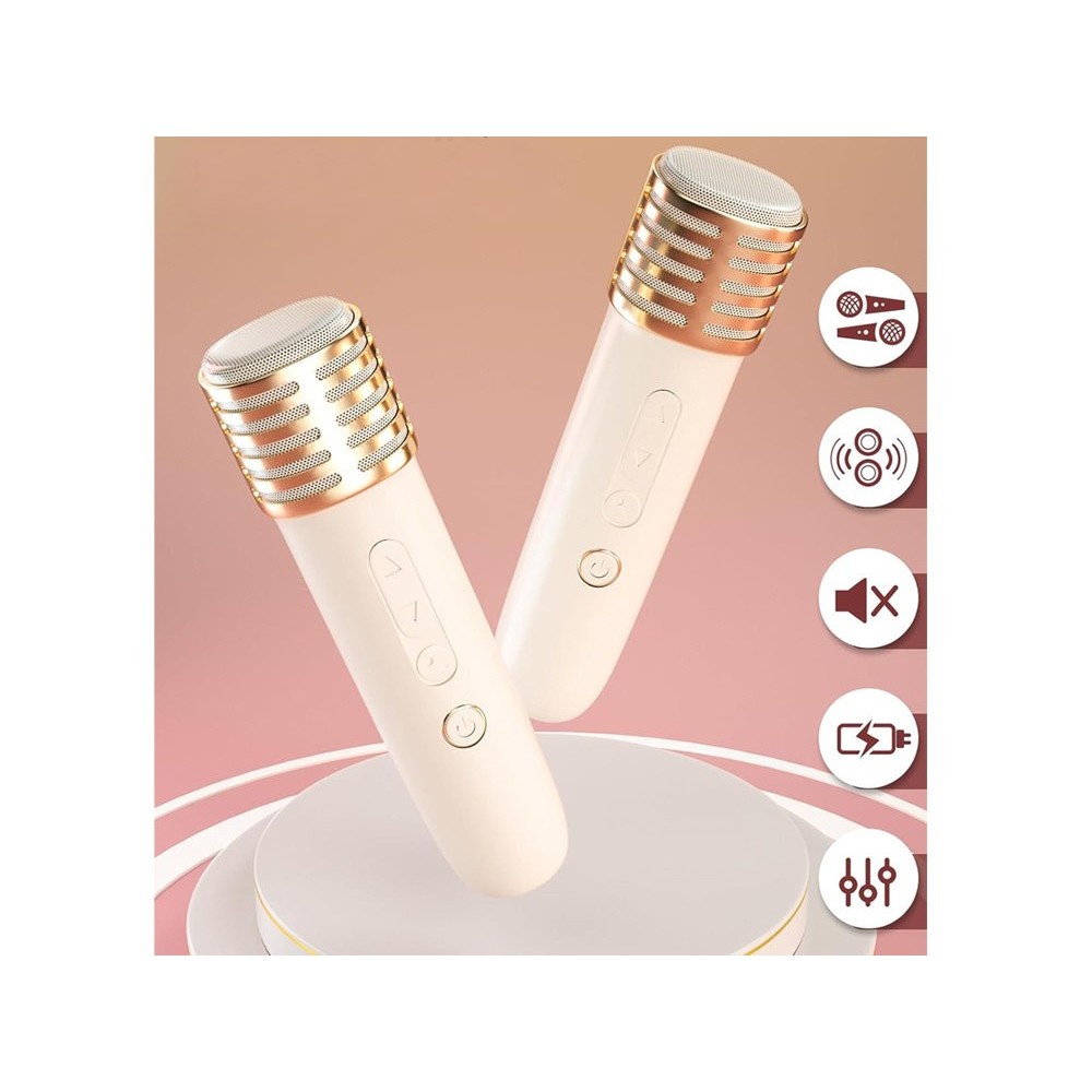 JOKO Sada Karaoke Bezdrôtové Mikrofóny s Bluetooth MINI Reproduktorom, zlaté
