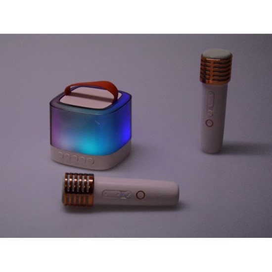 JOKO Sada Karaoke Bezdrôtové Mikrofóny s Bluetooth MINI Reproduktorom, zlaté