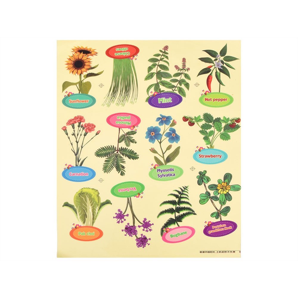 JOKO Detská Sada na pestovanie rastlín v Skleníku Little Gardener's Organic + semená 6 druhov