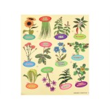 JOKO Detská Sada na pestovanie rastlín v Skleníku Little Gardener's Organic + semená 6 druhov