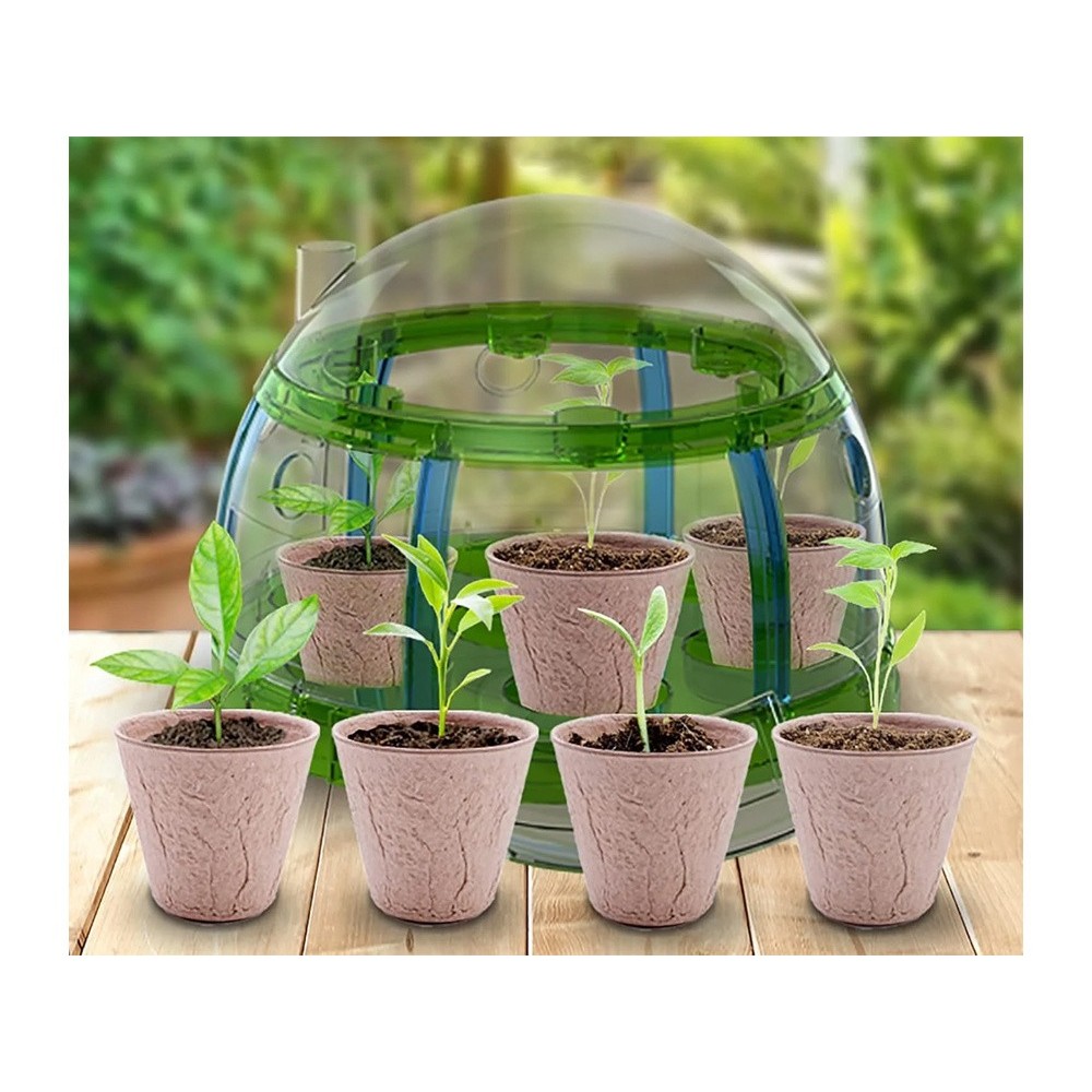 JOKO Detská Sada na pestovanie rastlín v Skleníku Little Gardener's Organic + semená 6 druhov
