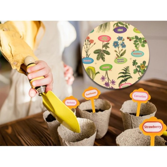 JOKO Detská Sada na pestovanie rastlín v Skleníku Little Gardener's Organic + semená 6 druhov
