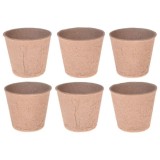 JOKO Detská Sada na pestovanie rastlín v Skleníku Little Gardener's Organic + semená 6 druhov