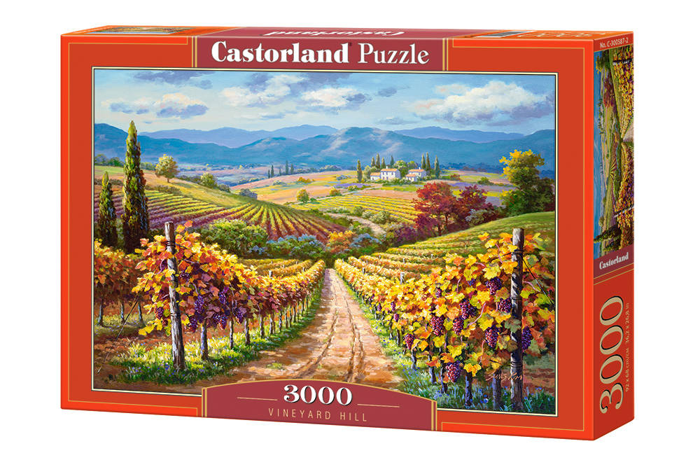 Castorland, Puzzle Vinice, 3000 ks