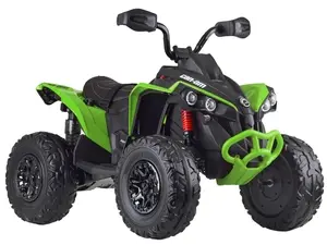 JOKO Elektrická štvorkolka Off-road CAN-AM 24V 200W, penové kolesá, kožené sedadlo, zelená