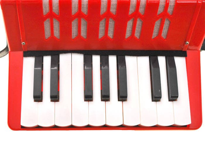 JOKO Veľký Detský akordeón 23cm x 23cm, harmonika