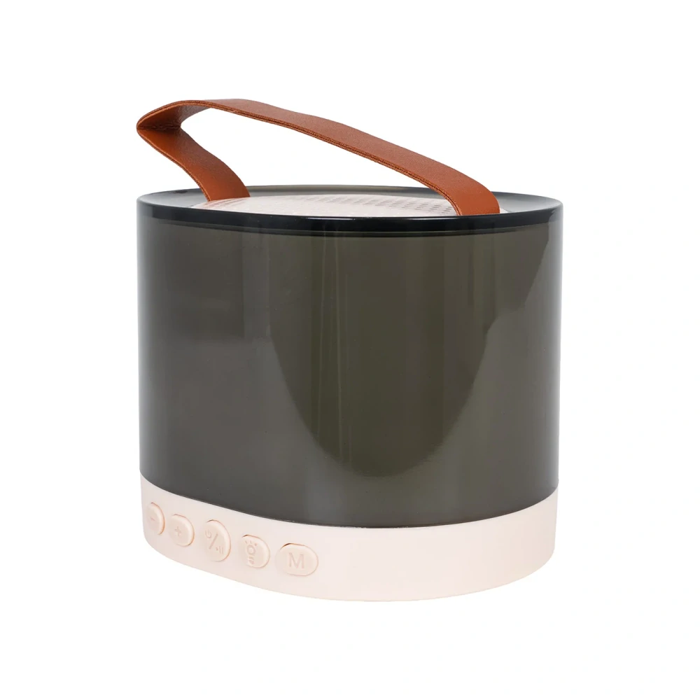 JOKO Karaoke Reproduktor s Mikrofónom a LED Svetlom + Kožená Rukoväť