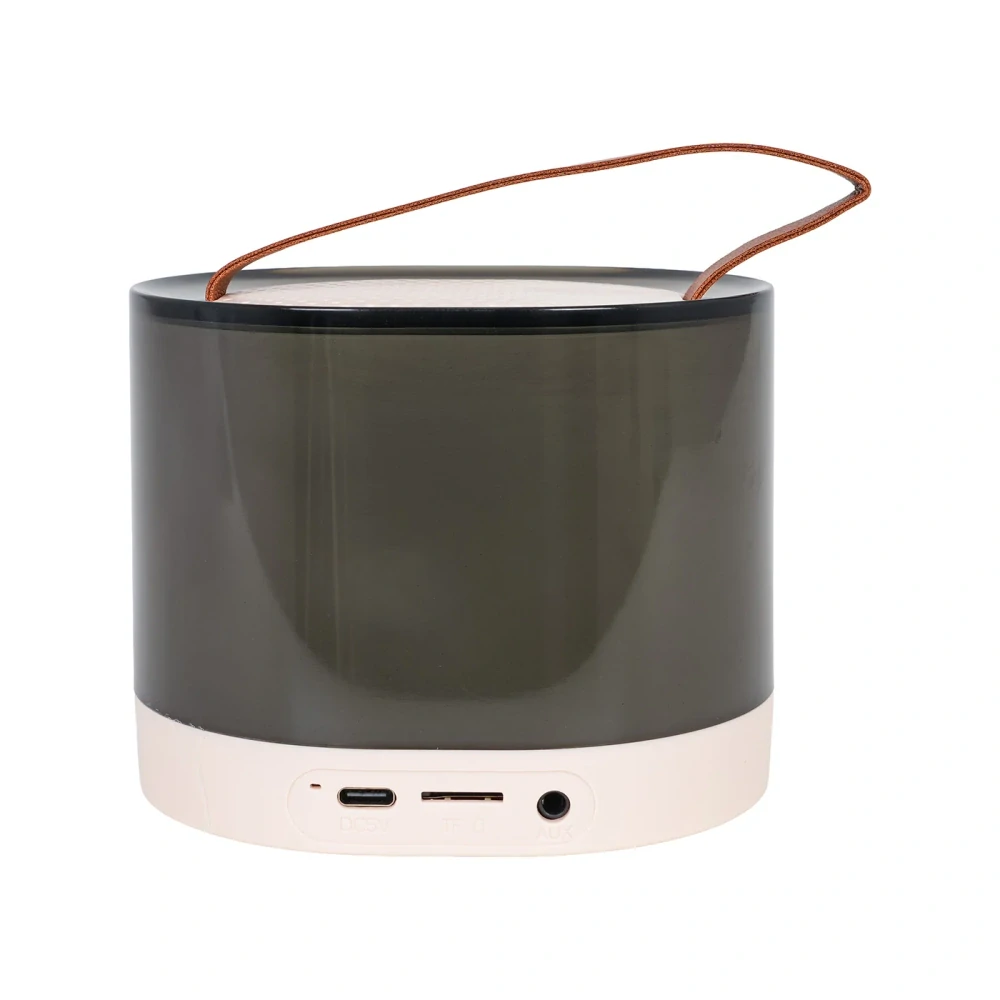 JOKO Karaoke Reproduktor s Mikrofónom a LED Svetlom + Kožená Rukoväť